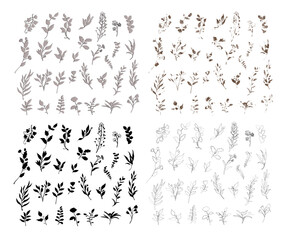 Seth plants silhouette and outlines