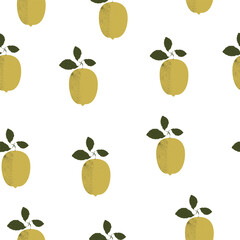Citrus illustration on white background, seamless pattern, vector