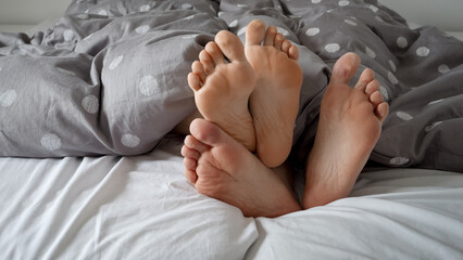 Couple's feet lying and hiding under the blanket on a cozy bed. Concept of family conflict and...