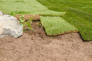 Landscaping - Recently laid rolled lawn, rolled turf, green yard