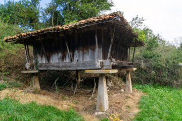 Traditional Asturian granary in the town of Valdebarzana. Spain.