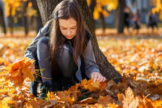 girl picking yellow maple leaves in autumn city park, child playing and enjoying, sitting near tree, beautiful nature, bright sunny day