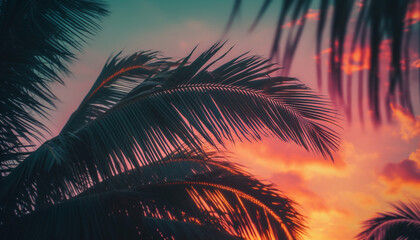 Fototapeta na wymiar Silhouette of palm tree against orange Caribbean sunset, tropical heaven generated by AI