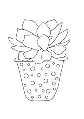 Colouring page with succulent and pot 