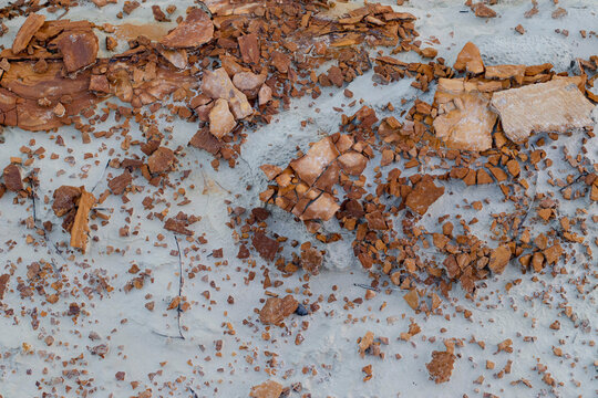 Massa Marittima, toscana. Terreno colline metallifere