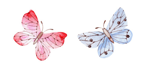 Butterfly watercolor illustration. Pink and blue butterflies. Moths, insect. Summer meadow. Illustrations isolated. For printing on cards, stickers, fabric, invitations, stationery.
