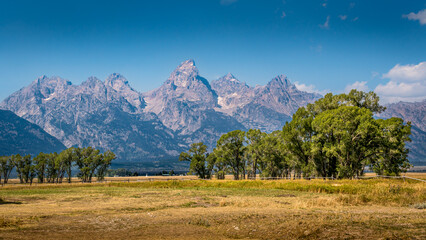 Naklejka premium Landscape Photo of the Teton Range from Mormon Row in Grand Teton National Park, Wyoming, USA