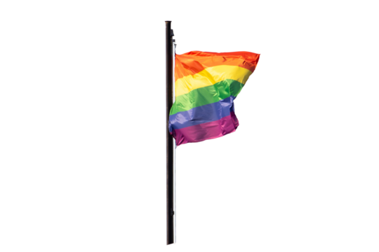 Rainbow flag a symbol for the LGBT community isolated