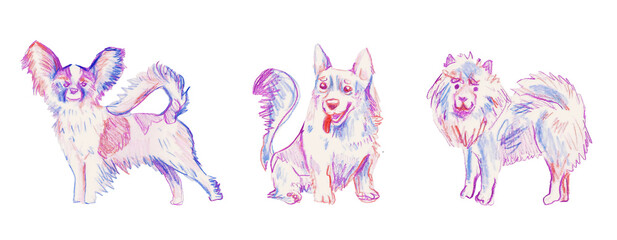 Color pencil dog drawing set, cute puppy sketch, fluffy companion collection, vet art, canine pet print design