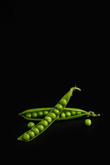 Closed and open pod of green peas with large grains on a black background, close-up.