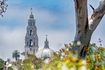 Balboa Park on a Midsummer Day