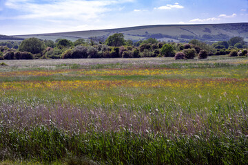 Walking around Rodmell in spring, East Sussex, England, view of the countryside