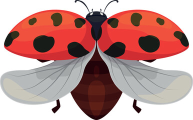 Ladybug with open wings ready to flying red spotted insect paws and antennae vector flat