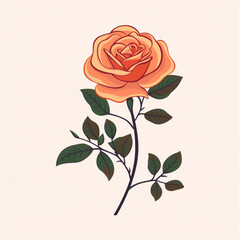 A vibrant orange rose with lush green leaves against a clean white background