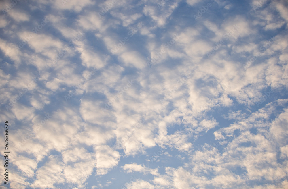 Wall mural Clouds in the blue sky at sunset as an abstract background.