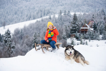 Boy with husky dog sledding on winter mountain, enjoying a sledge ride in a beautiful snowy winter park. Winter fun kids activities.