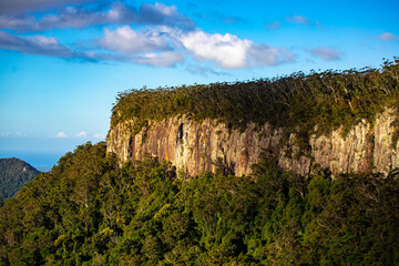 panorama of mountains in springbrook national park near gold coast, queensland, australia; famous canyon view from the top of mountain in gondwana rainforest