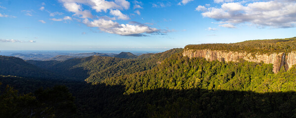 panorama of mountains in springbrook national park near gold coast, queensland, australia; famous canyon view from the top of mountain in gondwana rainforest - obrazy, fototapety, plakaty