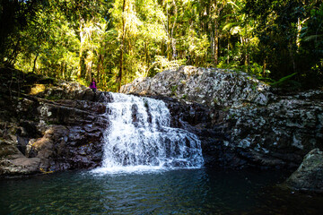 Fototapeta premium A beautiful girl stands in front of a tall, powerful waterfall; hike in Gondwana Rainforest on the Warrie Circuit trail in Springbrook National Park, Gold Coast, Queensland