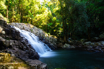 tropical waterfall surrounded by lush vegetation in springbrook national park, warrie circuit in gondwana rainforest near gold coast, queensland, australia