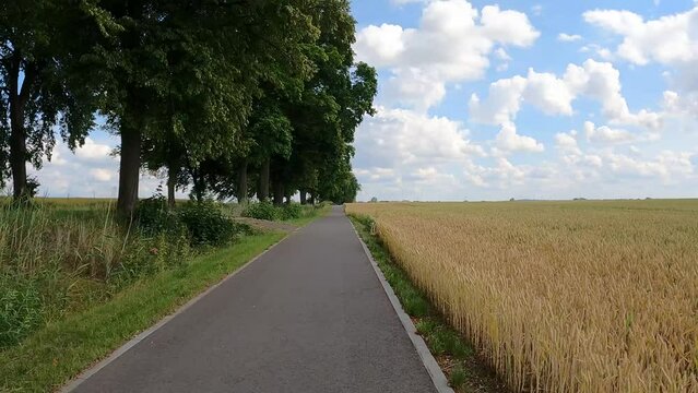 bike path movement along field trees along