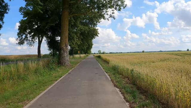 bike path movement along field trees along
