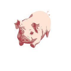 cartoon pig ilustration