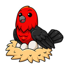 Cute scarlet tanager bird cartoon with eggs in the nest