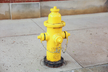 Vibrant urban symbol, fire hydrant on street embodies safety, readiness, and civic protection in emergencies. Iconic fixture poised for action