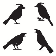 Balinese silhouettes and icons. Black flat color simple elegant Balinese animal vector and illustration. Silhouettes of birds.