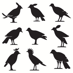 Fototapeta premium Balinese silhouettes and icons. Black flat color simple elegant Balinese animal vector and illustration. Set of birds silhouettes.