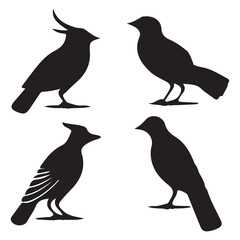 Balinese silhouettes and icons. Black flat color simple elegant Balinese animal vector and illustration. Set of silhouettes of birds.