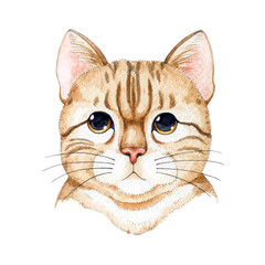 Red tabby cat portrait watercolor illustration. Hand painted cartoon style funny kitty face. Cute red striped kitty portrait element. Isolated on white background