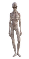 Grey alien on transparent background, 3d render