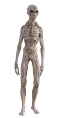 Grey alien on transparent background, 3d render