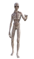 Grey alien on transparent background, 3d render