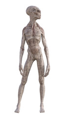 Grey alien on transparent background, 3d render