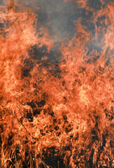 勢いよく燃え上がる炎