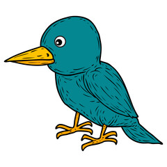 little bird illustration