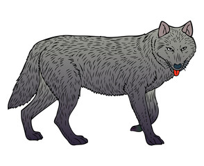 wolf vector illustration