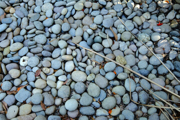 pebbles and pebbles on the ground.