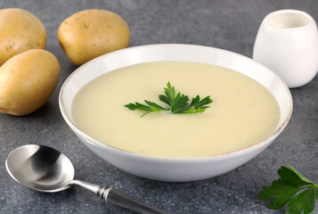 Bowl of creamy potato soup with ingredients on a gray background. French vichyssoise soup.