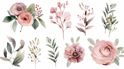 Watercolor floral individual elements set - green leaves, burgundy pink peach blush white flowers, branches. Wedding invitations wallpapers fashion prints, olive, peony, rose, Generative AI.