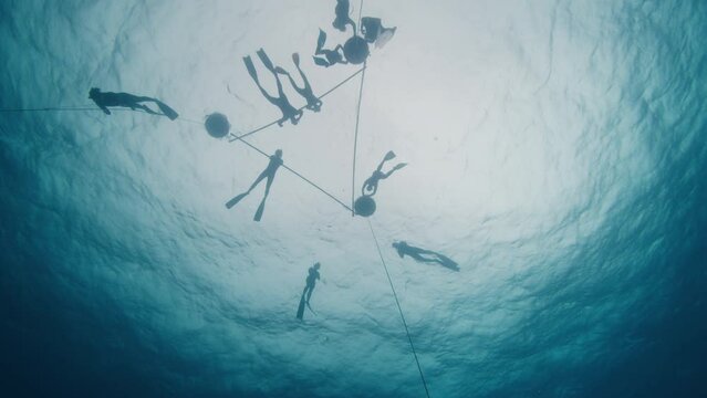Group of freedivers train in the open sea. Down to top view of the sea surface with free divers hanging on buoys