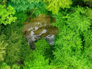 Aerial view of creek flowing through valley with dense forest. 