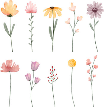 Watercolor illustration set of flowers