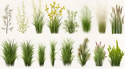 set of grass