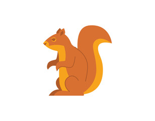 Squirrel vector cute animal illustration Autumn design element isolated on white background