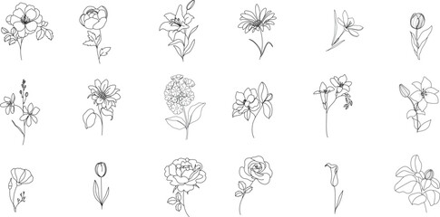 minimal line flower and botanical graphic sketch drawing, trendy tiny tattoo design, floral elements vector illustration - 625421543