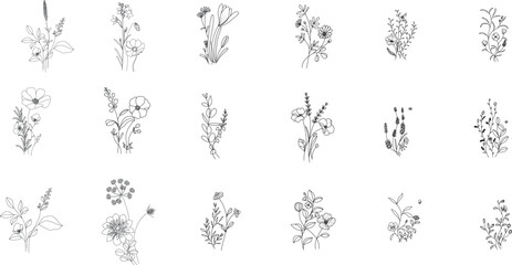 minimal line flower and botanical graphic sketch drawing, trendy tiny tattoo design, floral elements vector illustration - 625421560